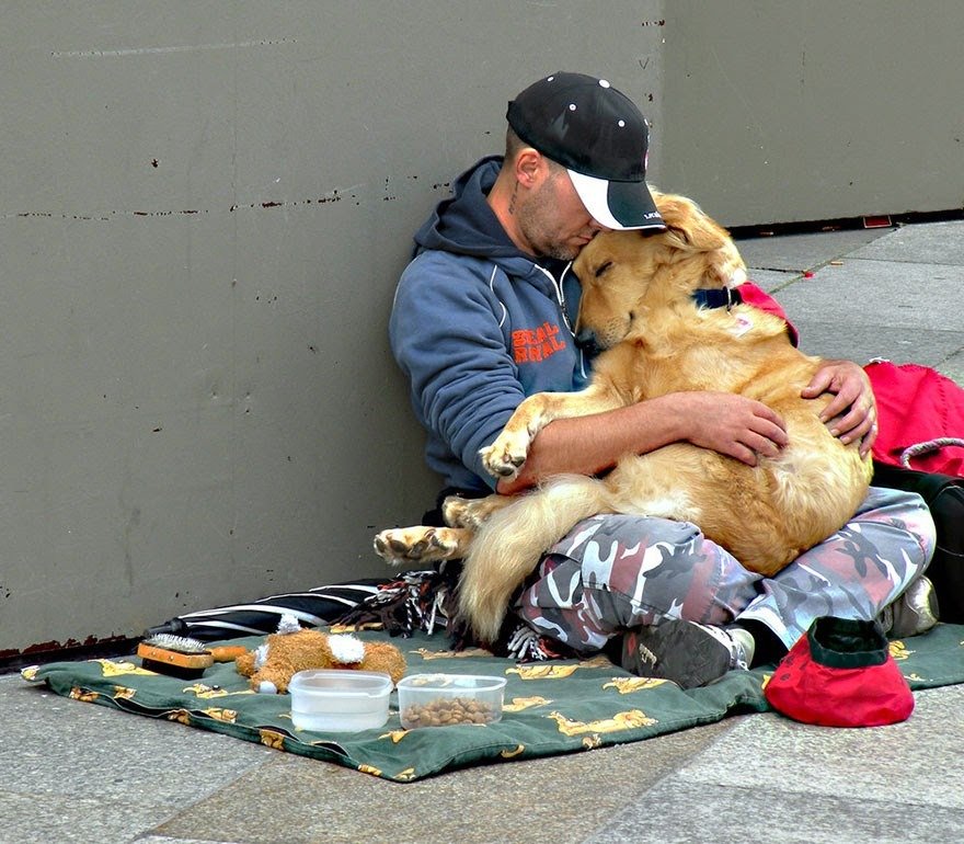 A-Dogs-Love1 A Dog's Love: A Beacon of Hope for the Homeless