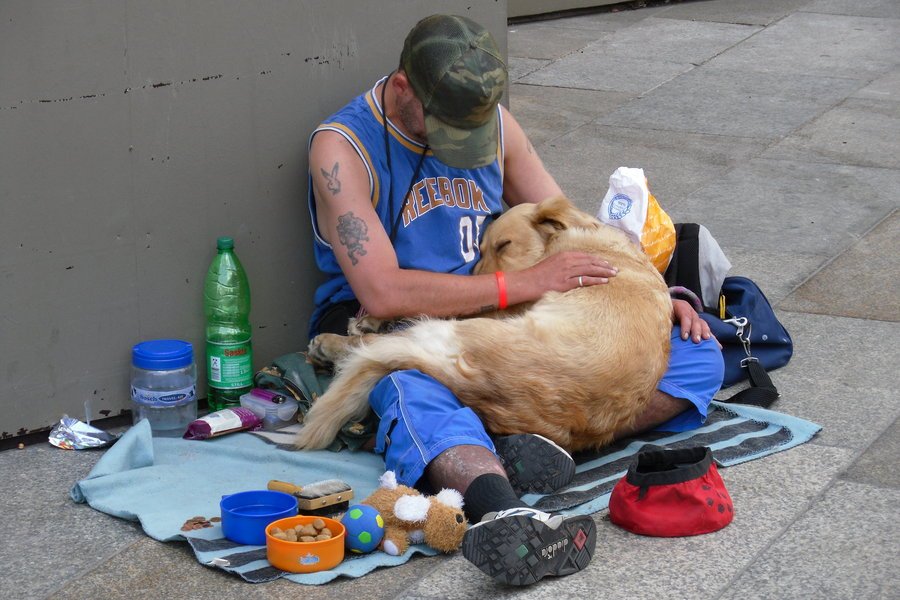 A-Dogs-Love2 A Dog's Love: A Beacon of Hope for the Homeless