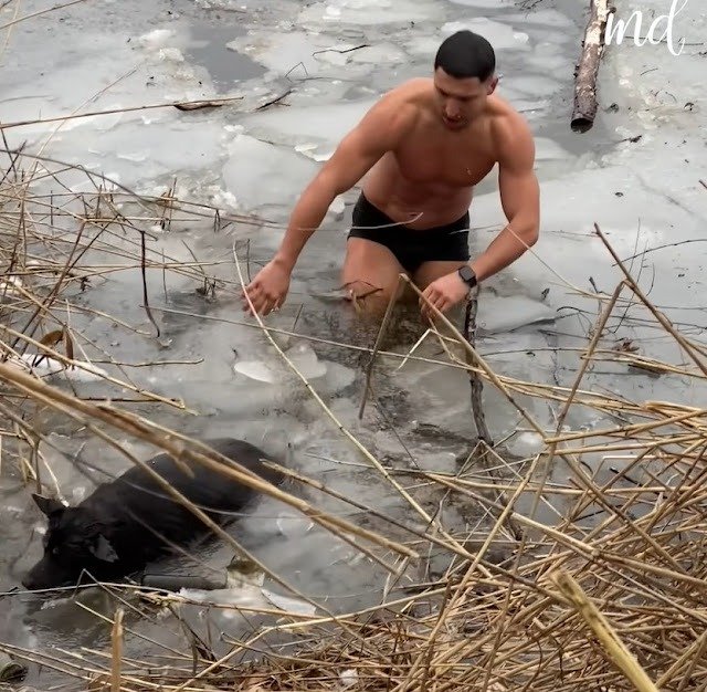 Dog-and-Its-Rescuer4 A Heroic Dive: The Story of a Dog and Its Rescuer