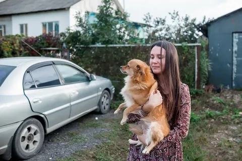 Dogs-Wedding-Journey-3 Love Knows No Bounds: A Dog's Wedding Journey